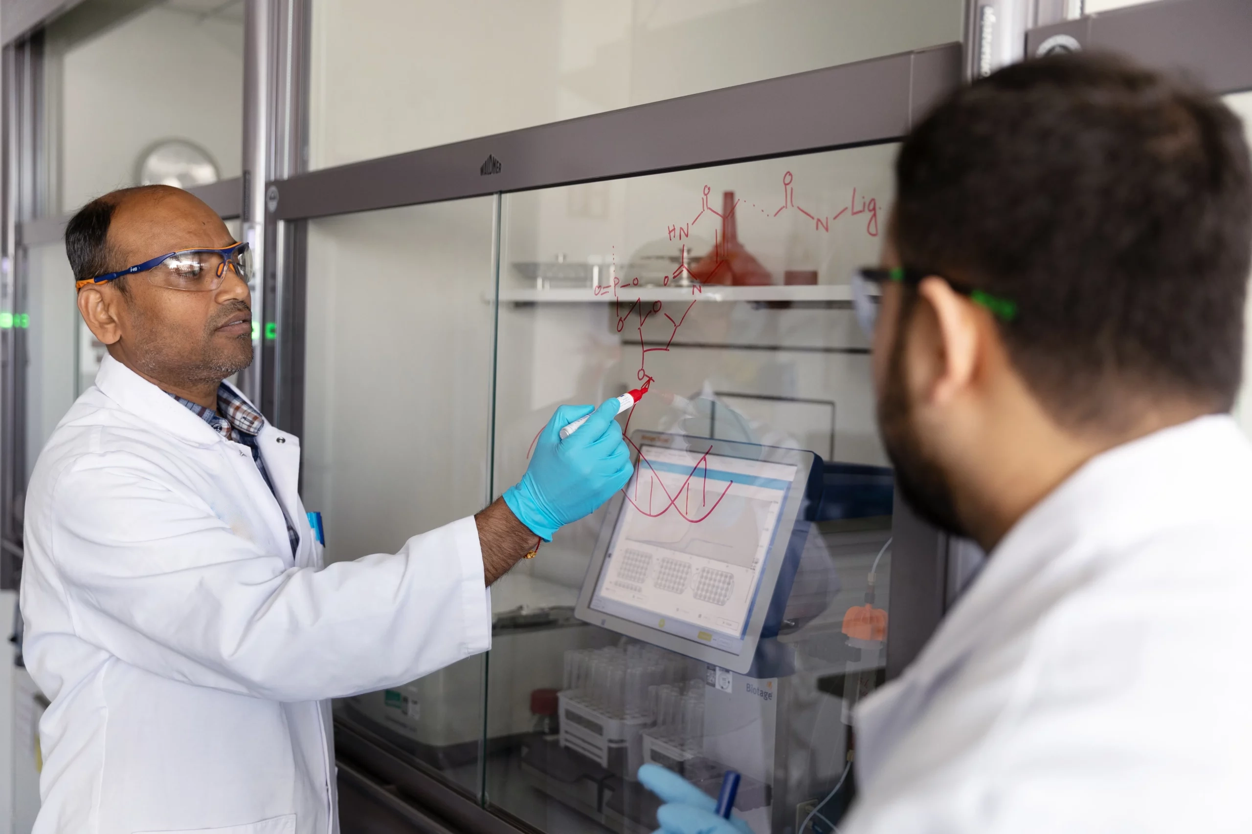 Two scientists in lab coats and safety glasses collaborate, with one drawing chemical structures and graphs on a transparent glass board at Axolabs CRO site.